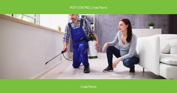 PEST CONTROL Cross Plains